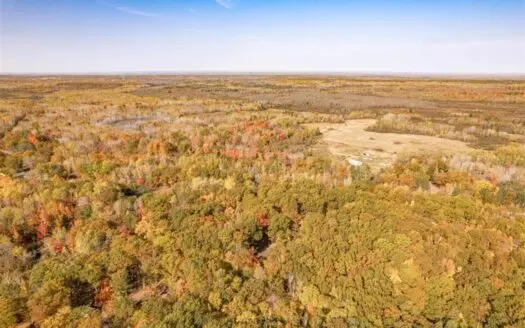 60 Acres of Recreational Land for Sale North of Bruno MN
