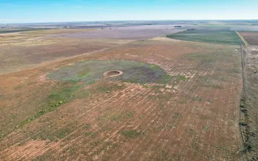 86.7+/- Acres in Lamb County, Texas