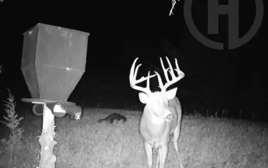 Beautiful Jewell County Kansas 80