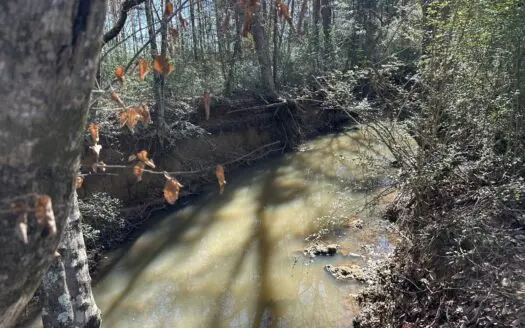 East Texas Hunting/Recreational High Fence Land For Sale