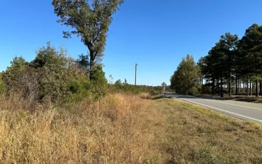 Land For Sale on AR State HWY 138 and Brixie Road
