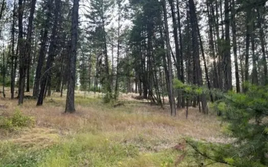 Montana Mountain 4 Ac Building Parcel For Sale