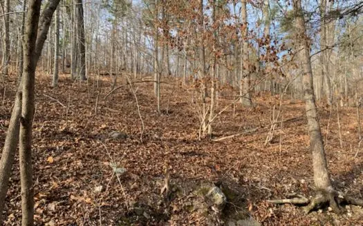 10 Acres W/ Well – Bull Shoals Lake Area