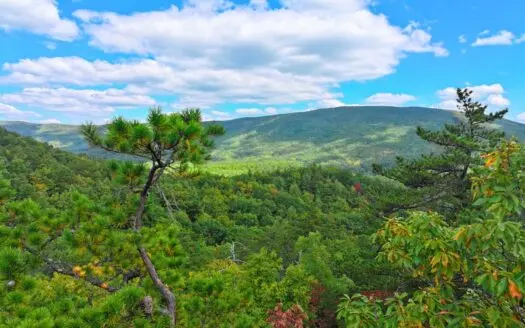 Large Recreational Retreat for Sale in Wytheville, VA