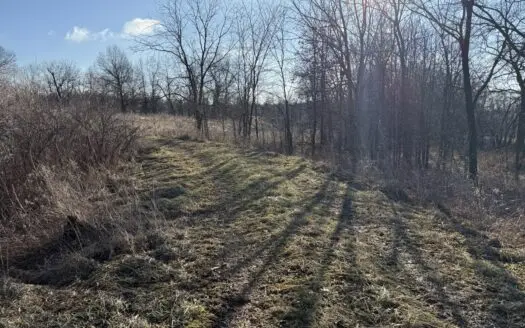 87 Acres of Prime Hunting Land in Southern Scotland County