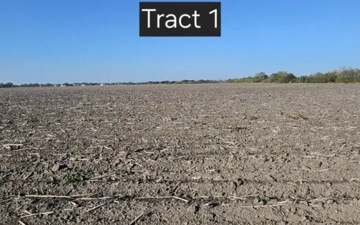 “Land That Turns Dreams Into Reality.”