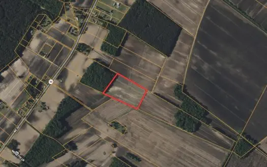 13.7 Acres for Sale Near Pantego, NC