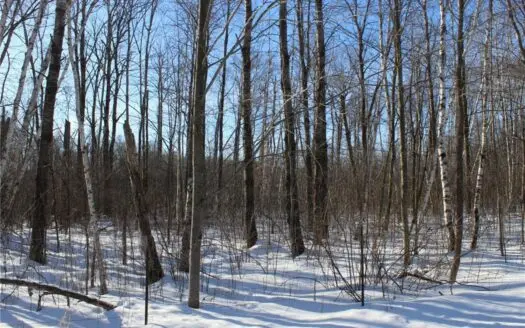 Private 40 Acres in Milaca with Timber, Field & Wildlife Habitat