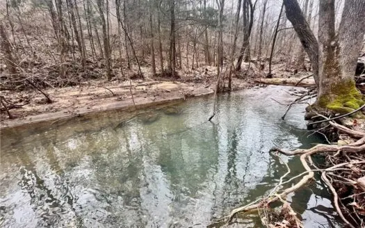 30 Acres Timber Land, Creek, Utilities, For Sale Jasper