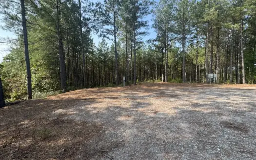 Serene 15-Acre Wooded Retreat For Sale Near Linden, TN