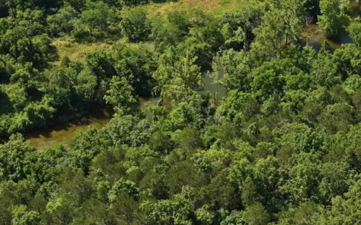 Section B- 40 Acres Parcel in Southern Missouri Ozarks