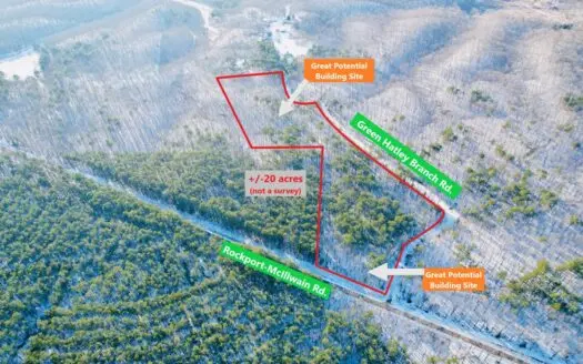 Potential Homesites on Big Acreage in Holladay, Tennessee