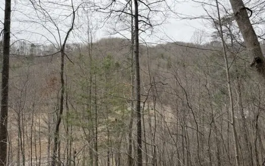 Mountain Home In Marshall County