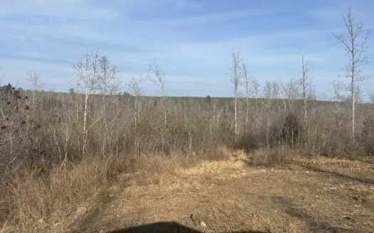 35 Acres in the Ozark Mountains