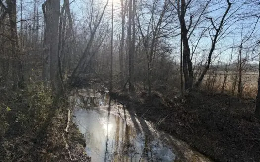 Land For Sale In Tn. Hardwoods, Nice Creek, 5.402Ac+/-