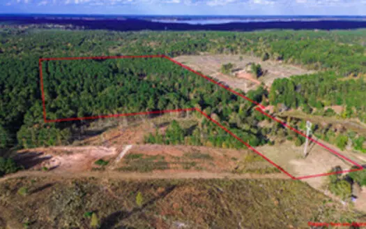 East Texas Land For Sale Offering Hunting, Recreation, Homesite