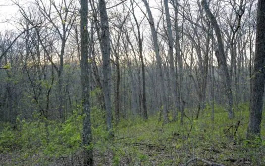 Premier Hunting Parcel in Clark County, Missouri