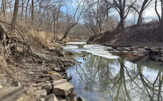 Pristine Hunting Property for Sale along Clear Creek in Missouri