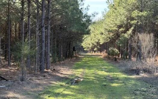 Unrestricted 122 Acre East TX Land | Creek, Power, Road Frontage
