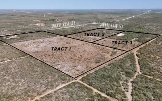 12 Acres For Sale near San Diego, TX – Prime Hunting Land