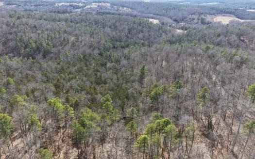 Hunting And Recreational Land For Sale In Arkansas
