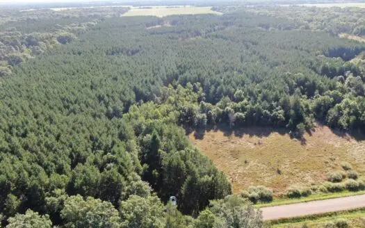 80-acre timber tract in Adams County