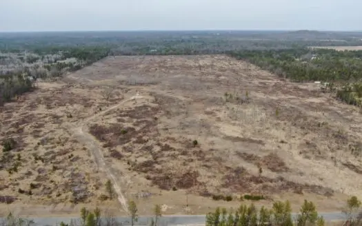 80 Acres of Juneau County Timber Land