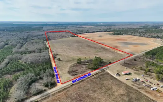114.62+- Acres / *IRRIGATED *INCOME PRODUCING *LEE COUNTY, GA