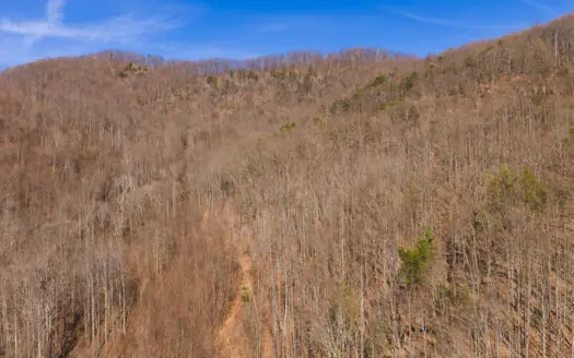 Large Land Tract for Sale in Taylorsville NC