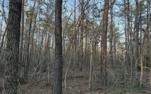 Land For Sale In Tn, 20 Acres Surveyed, Woods, Hunting