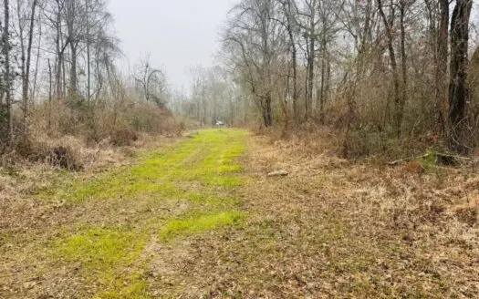 Hunting & Homesite Land Near Tylertown, MS