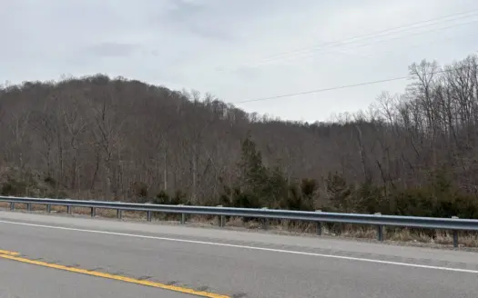 Hunting Paradise with Building Potential in Burkesville, Ky