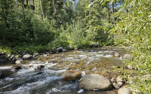 Riverfront Acreage for Sale in Salida, CO