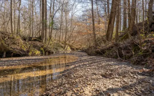 Lorman, MS Hunting Property For Sale – 453 Acres