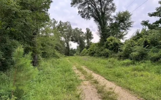 Land for sale with Saline River Frontage near Warren, AR