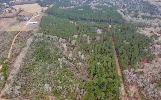 18 Acre Homesite in Magnolia, MS, Pike County