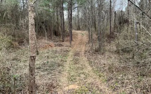 171 Acres with Two Ponds Berwick Cassels Road Amite County MS