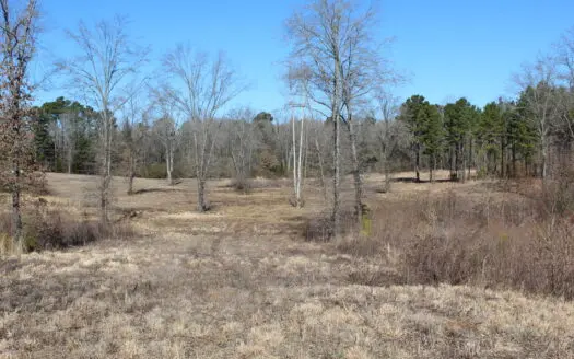 De Kalb TX Rolling Land For Sale