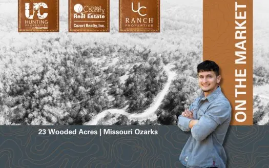 Wooded Acreage in the Missouri Ozarks | Gainesville