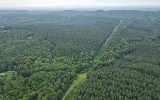 105 Acres of Prime Nelson County Land – Investment & Recreation