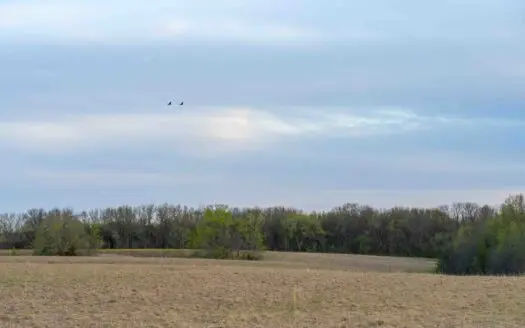 Prime Hunting and Income Property in Clark County, MO