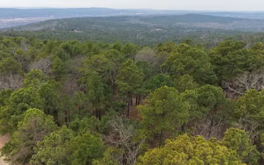 Land for sale- SE Oklahoma- Hunting land for sale