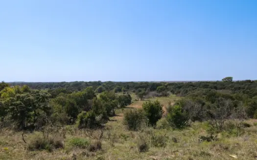 Texas Hunting Land For Sale Ranches Montague County Property