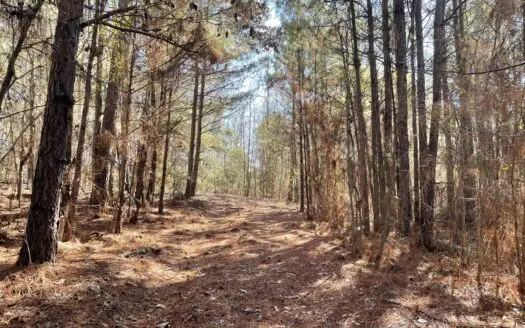 Texas Land for Sale in Winona TX East of Dallas in Smith County