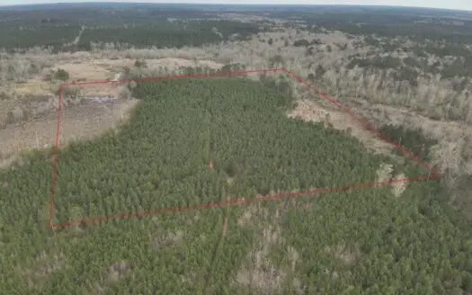 Arkansas Timber W/ Creek Habitat W/ Public Land Frontage For Sale