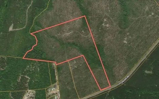 Wooded Acreage for Sale in Emanuel County, GA