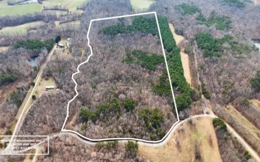 White Oak Mountain Oasis: 35 Acres of Boundless Privacy