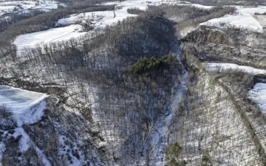 Tract 2 33 +/- Acres Monroe County Hunting Land