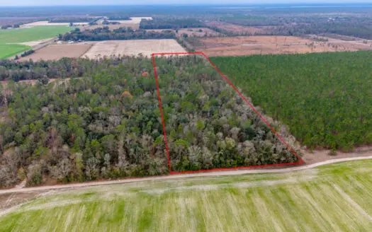 Prime 10-Acre Wooded Retreat for Sale in Live Oak, Florida