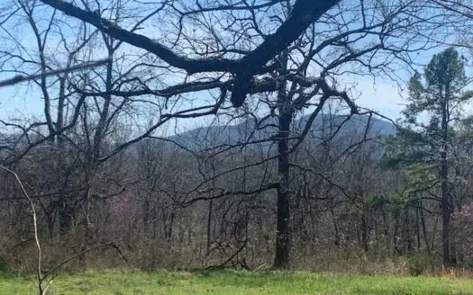Home/Acreage Near Buffalo National River